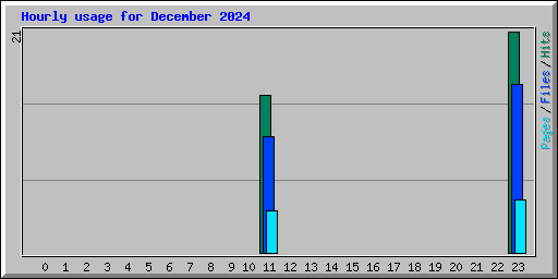 Hourly usage for December 2024