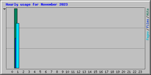 Hourly usage for November 2023