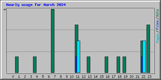 Hourly usage for March 2024