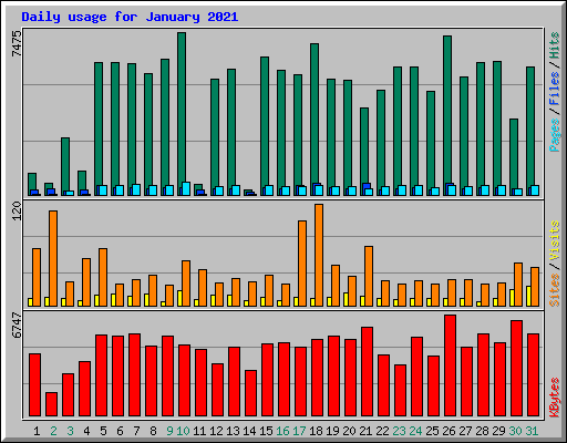 Daily usage for January 2021