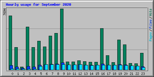 Hourly usage for September 2020