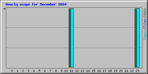 Hourly usage for December 2024