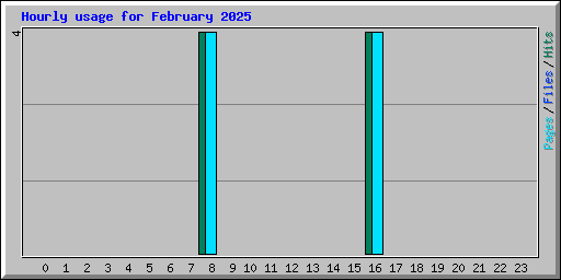 Hourly usage for February 2025
