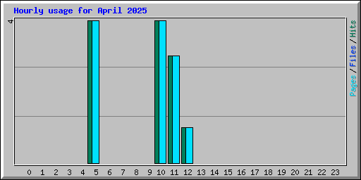 Hourly usage for April 2025