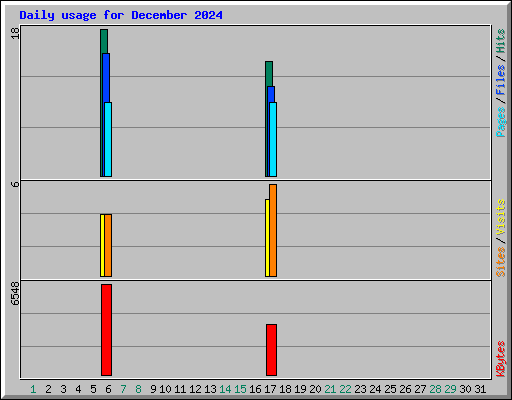 Daily usage for December 2024