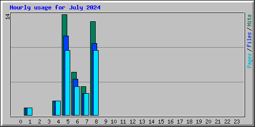 Hourly usage for July 2024
