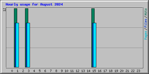 Hourly usage for August 2024