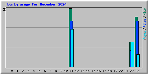 Hourly usage for December 2024