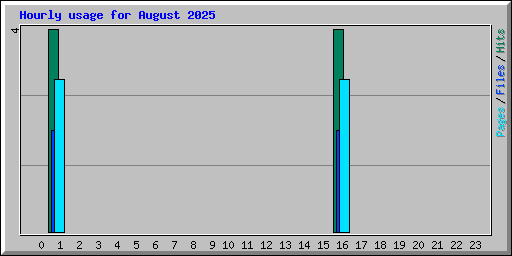 Hourly usage for August 2025