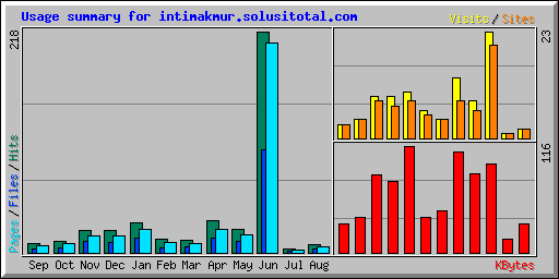 Usage summary for intimakmur.solusitotal.com