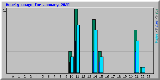 Hourly usage for January 2025