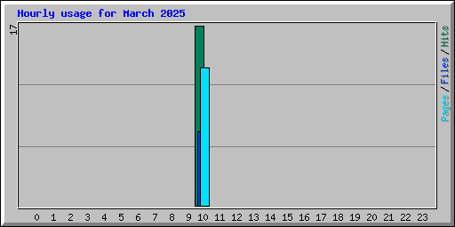 Hourly usage for March 2025