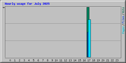 Hourly usage for July 2025
