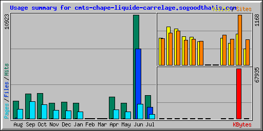 Usage summary for cmts-chape-liquide-carrelage.sogoodthatis.com