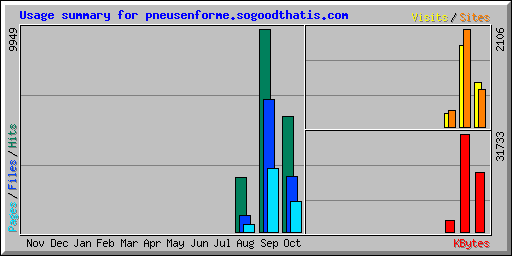 Usage summary for pneusenforme.sogoodthatis.com