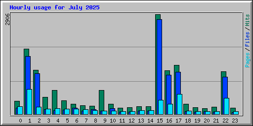 Hourly usage for July 2025