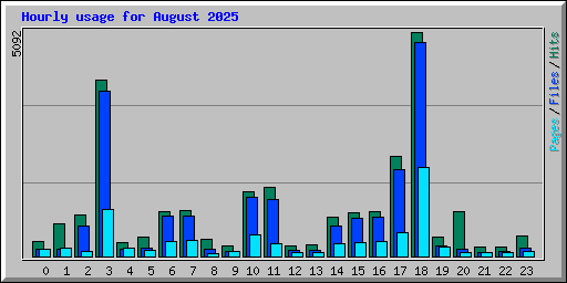 Hourly usage for August 2025