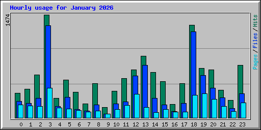 Hourly usage for January 2026