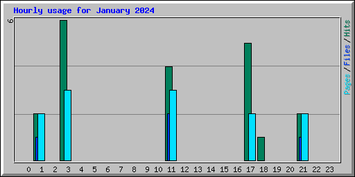 Hourly usage for January 2024