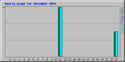 Hourly usage for December 2024