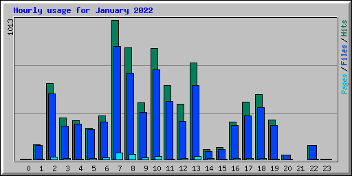 Hourly usage for January 2022