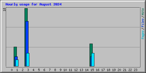 Hourly usage for August 2024