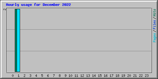 Hourly usage for December 2022