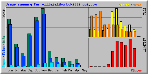 Usage summary for villajalikurbukittinggi.com