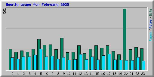 Hourly usage for February 2025