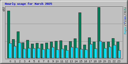 Hourly usage for March 2025