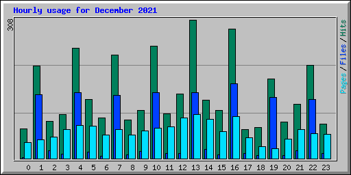 Hourly usage for December 2021