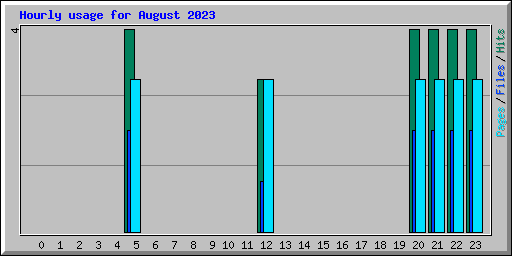 Hourly usage for August 2023